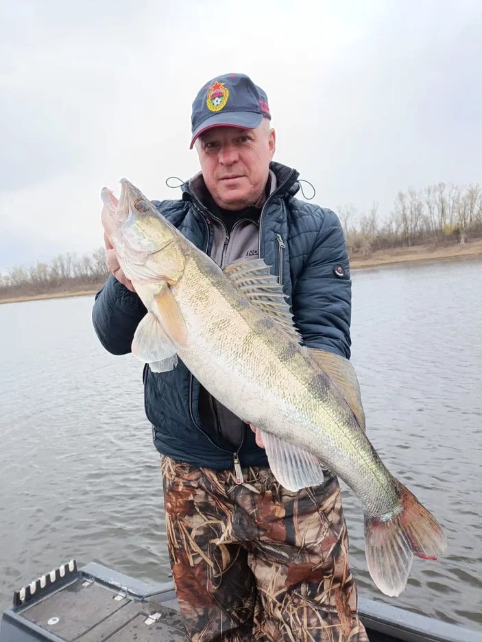 0023600d-18c4-47fc-889b-25b413aea84a