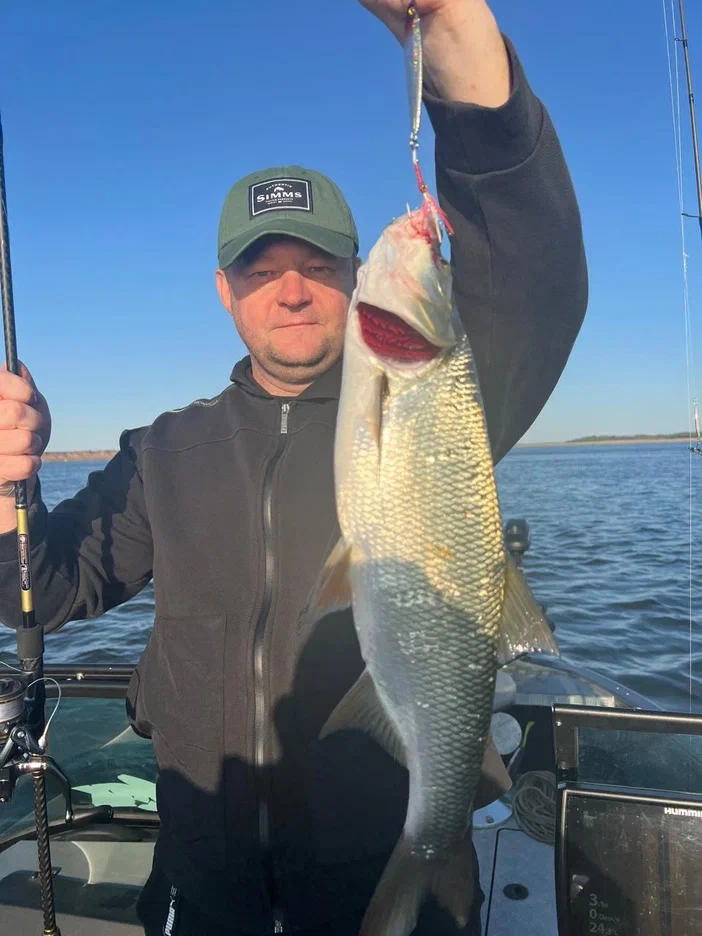 5e740334-3af1-49e9-bf40-18249b2aa003