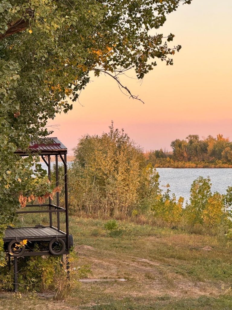 5d5edad0-84f5-4fec-9842-baa682364b05