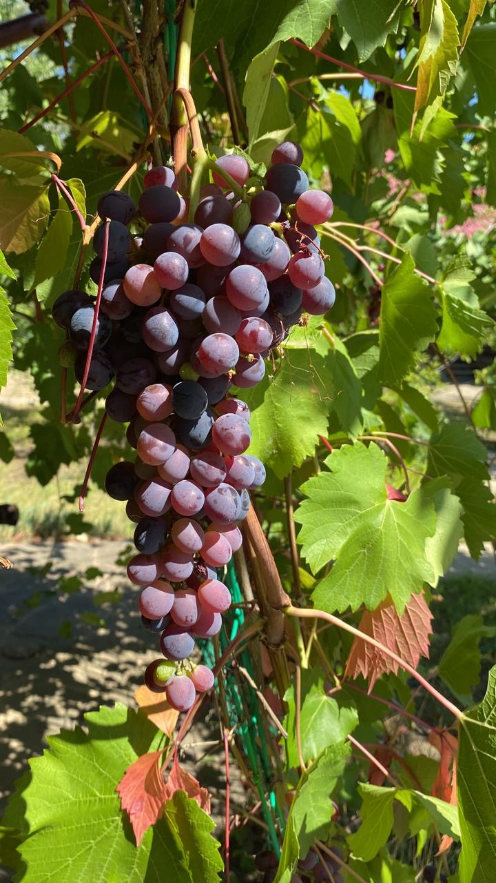 88b59891-4313-4aaf-92bb-071a5951ce62