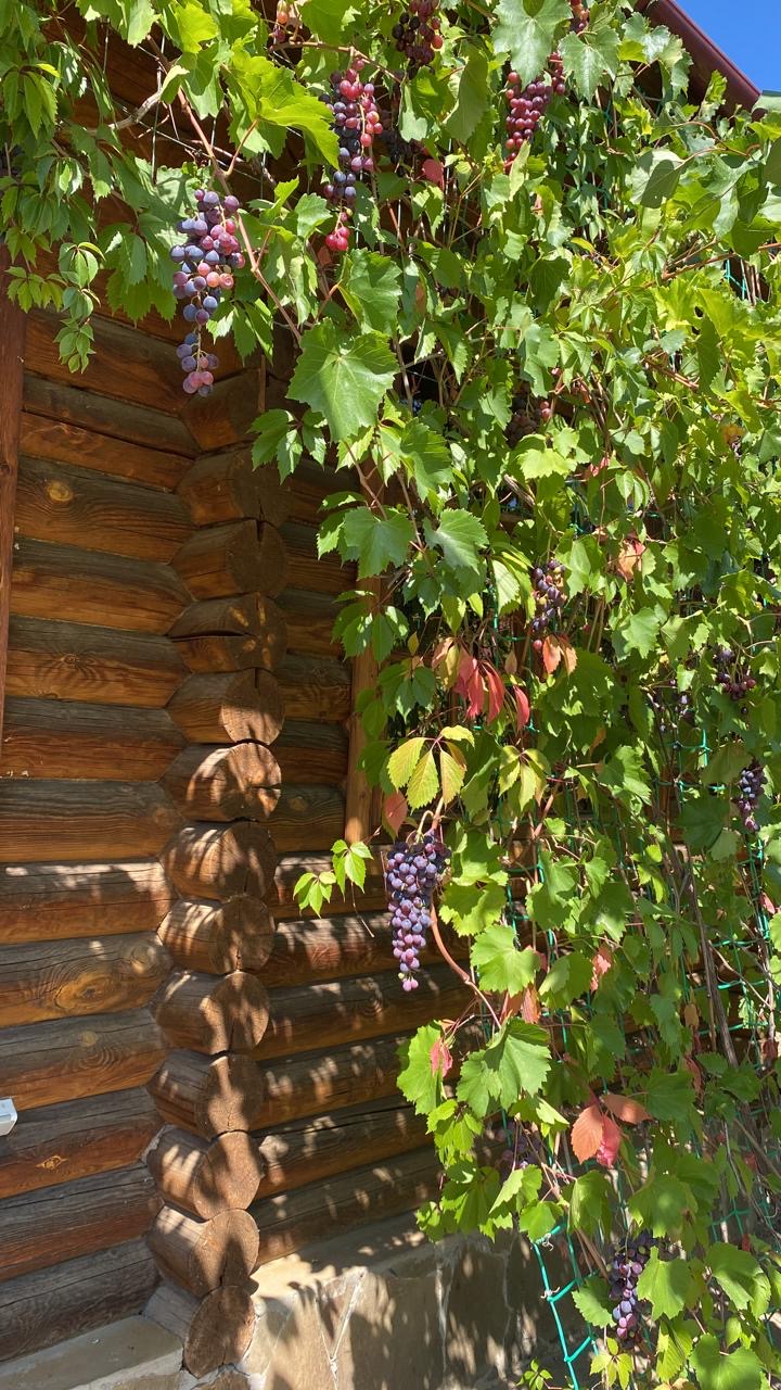 92bf8e22-1aad-4066-8a89-ff20ee83753b