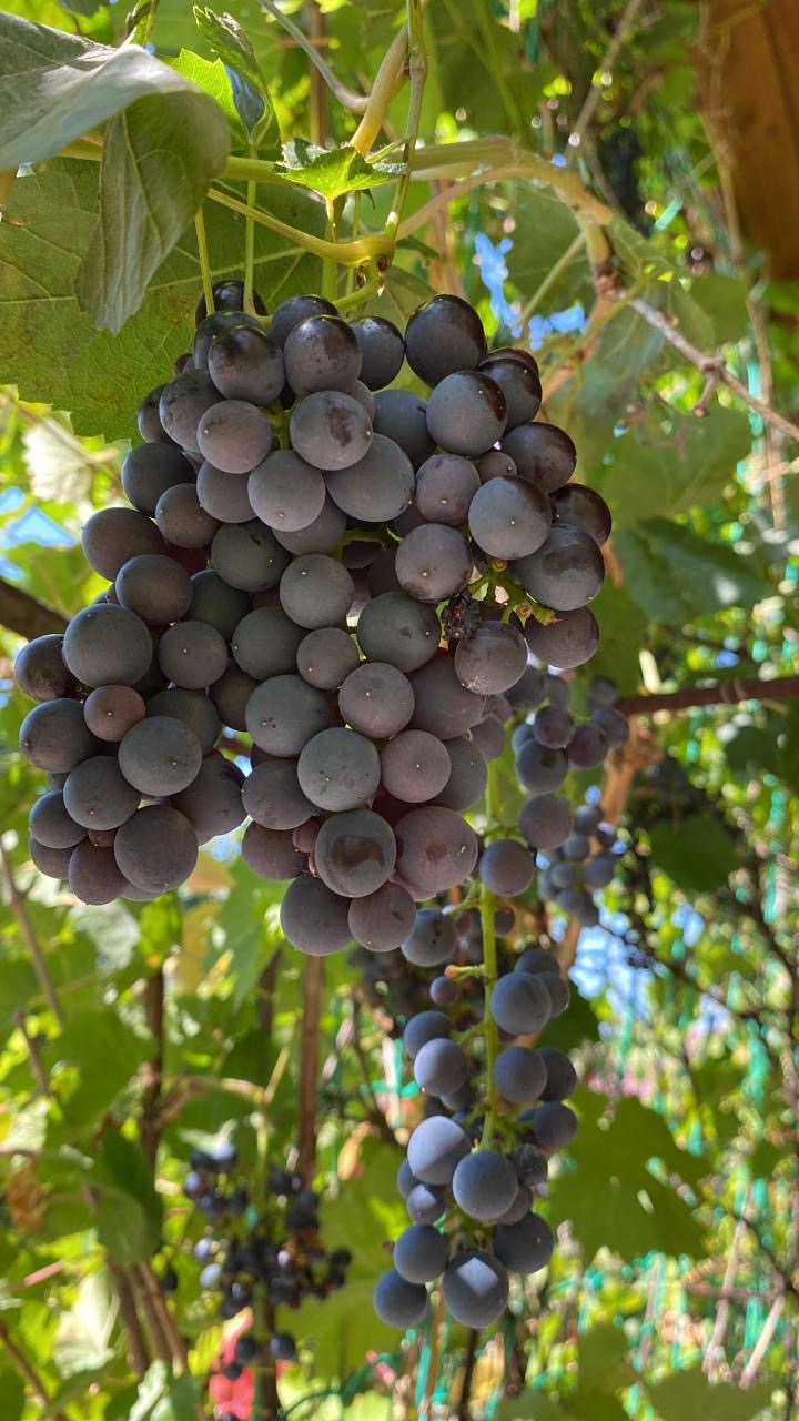 eb8995d3-a259-46ff-87a1-dfed6b51dd9e