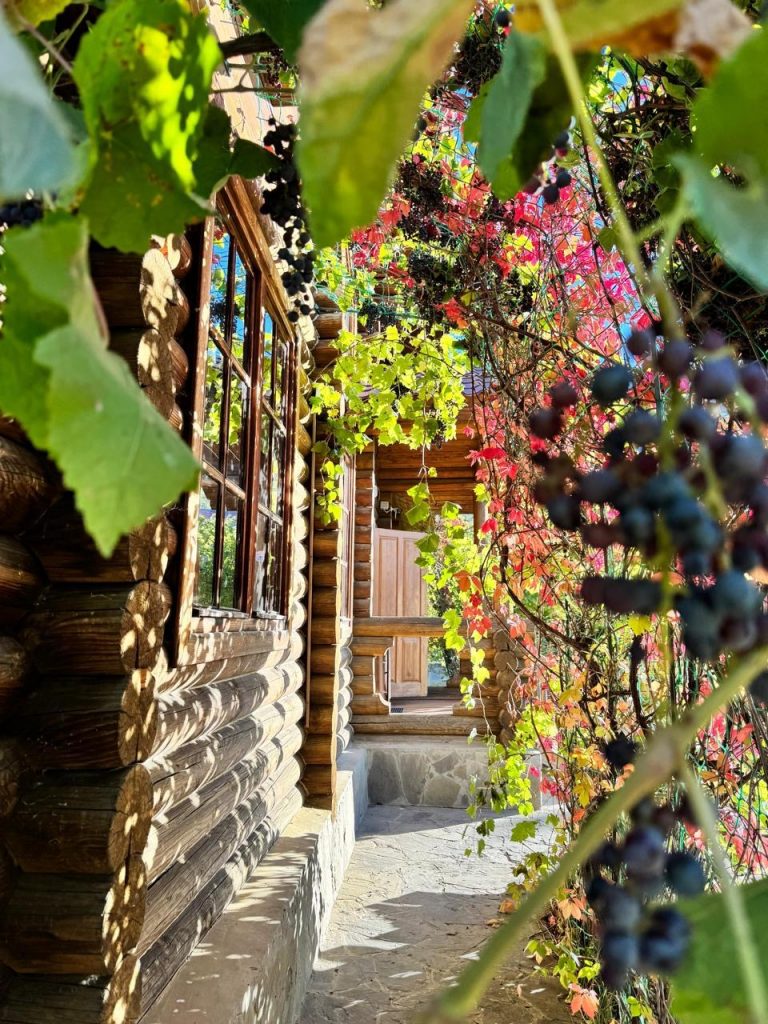 fbea40eb-51c5-4c84-a8cd-34ce239db346